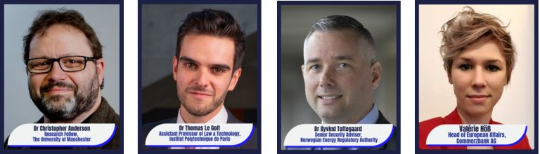 Dr Christopher Anderson, Dr Thomas Le Goff, Dr Øyvind Toftegaard and Valerie Höß.